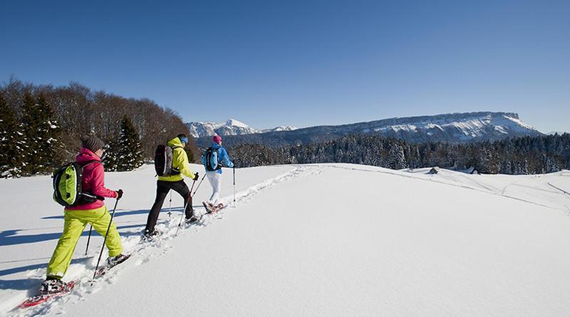 Les Chalets De Ludran Viuz-en-Sallaz Luaran gambar