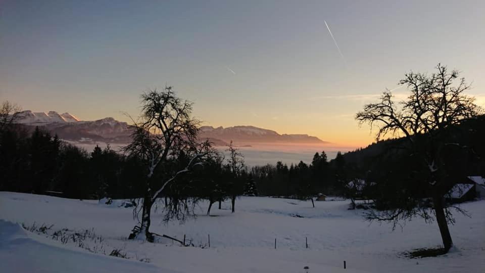 Les Chalets De Ludran Viuz-en-Sallaz Luaran gambar