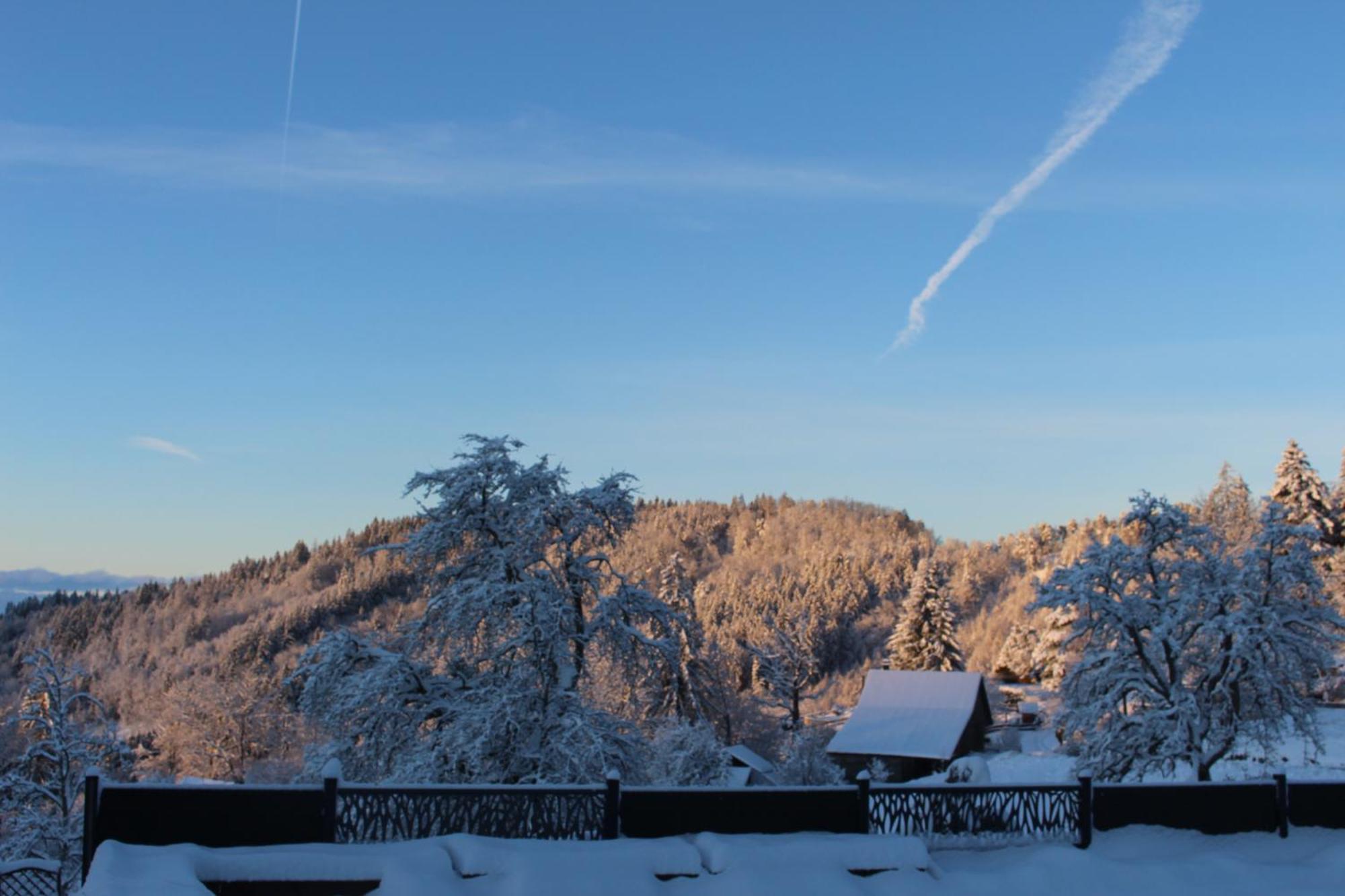 Les Chalets De Ludran Viuz-en-Sallaz Luaran gambar