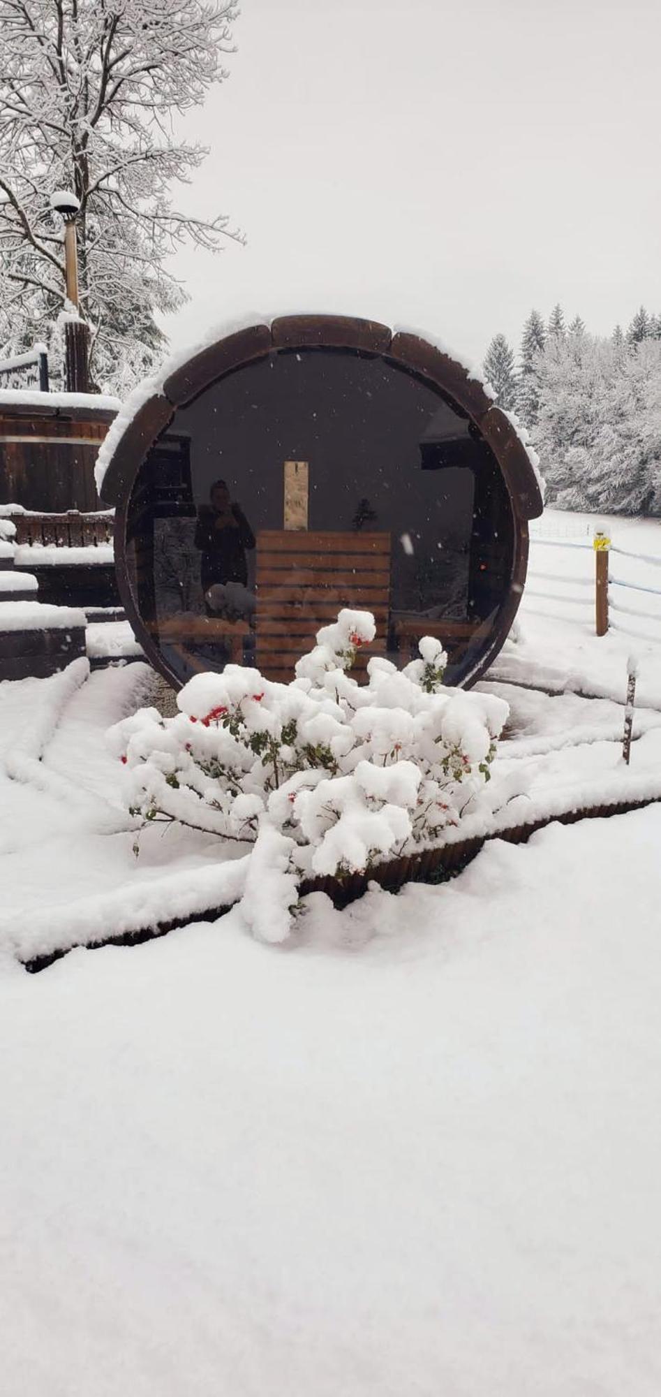 Les Chalets De Ludran Viuz-en-Sallaz Luaran gambar